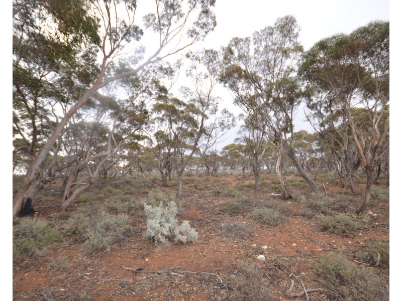 Lot 26 & 28 Dreckow Road, Bower SA 5374