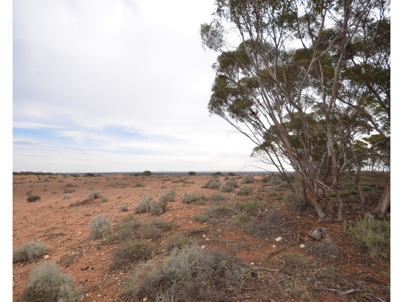 Lot 26 & 28 Dreckow Road, Bower SA 5374