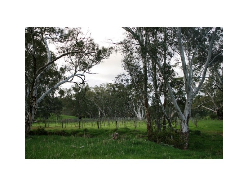 Lot 4 and 8 Government Road, Watervale SA 5452