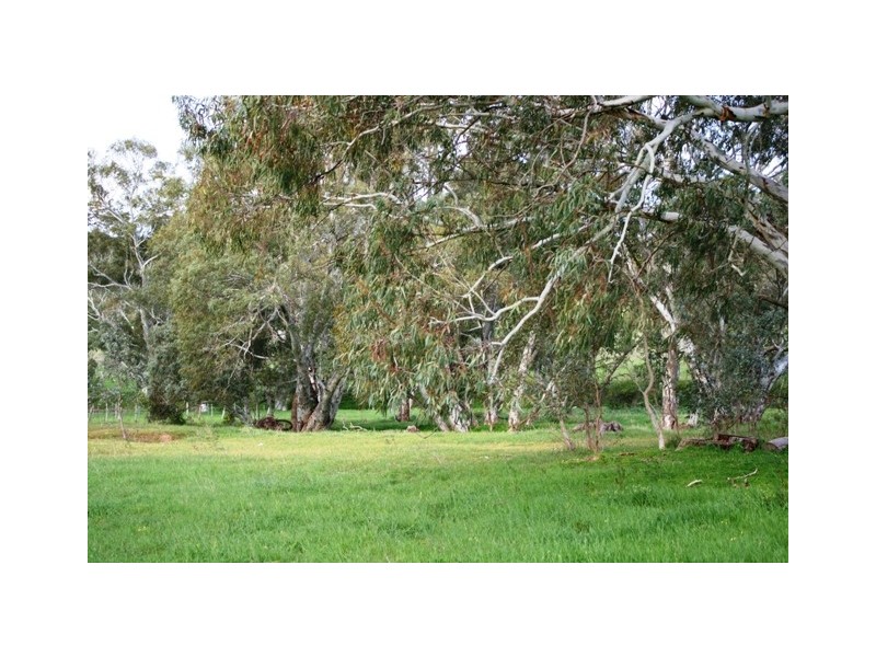 Lot 4 and 8 Government Road, Watervale SA 5452