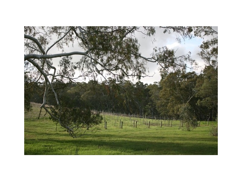 Lot 4 and 8 Government Road, Watervale SA 5452