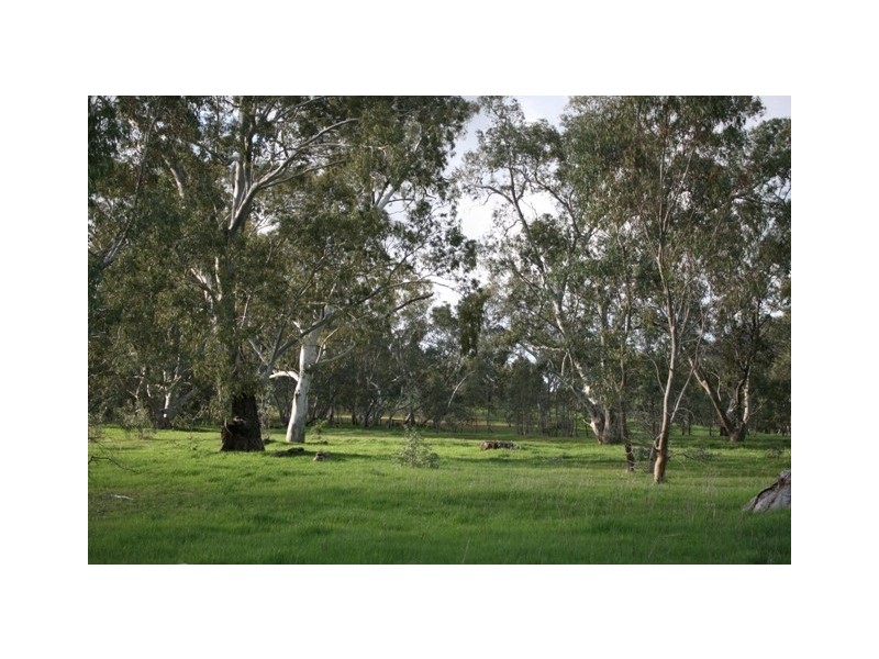 Lot 4 and 8 Government Road, Watervale SA 5452