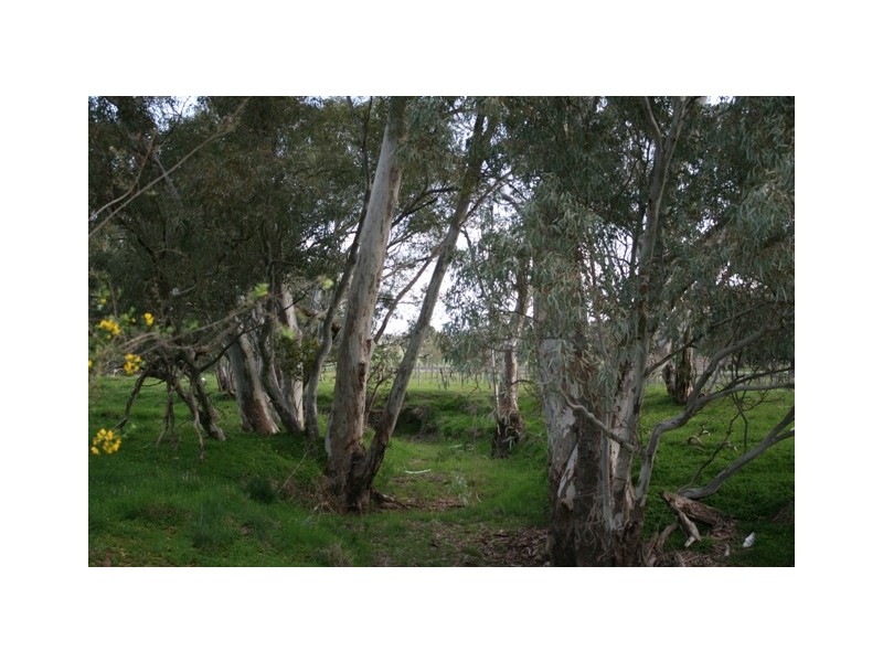 Lot 4 and 8 Government Road, Watervale SA 5452