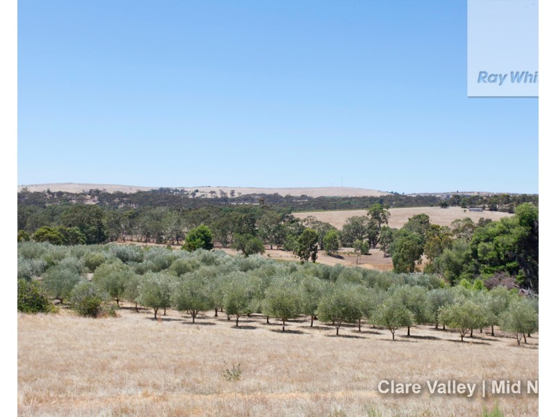 109 Spring Gully Road, Clare SA 5453
