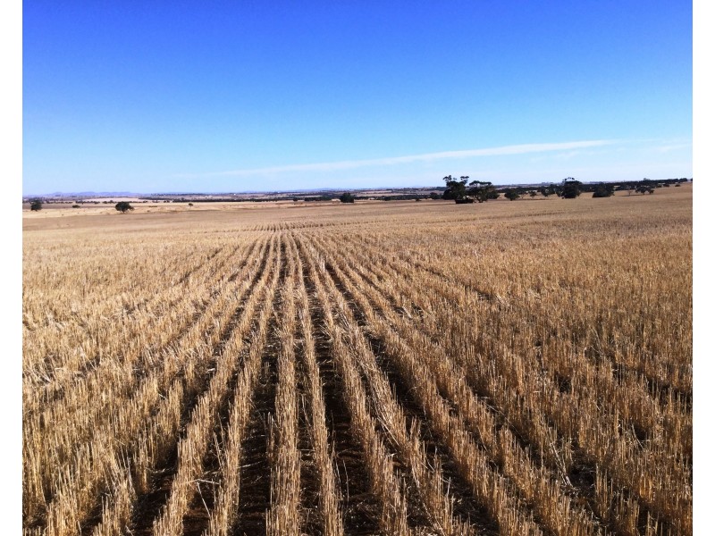 Lot 2 Fannell Creek Road, Bethel SA 5373