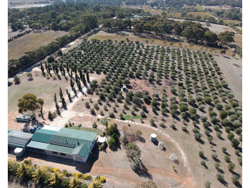 51 Ashby Road, Armagh SA 5453