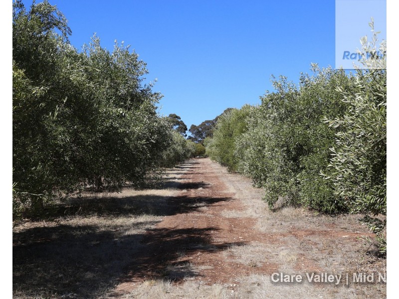 51 Ashby Road, Armagh SA 5453