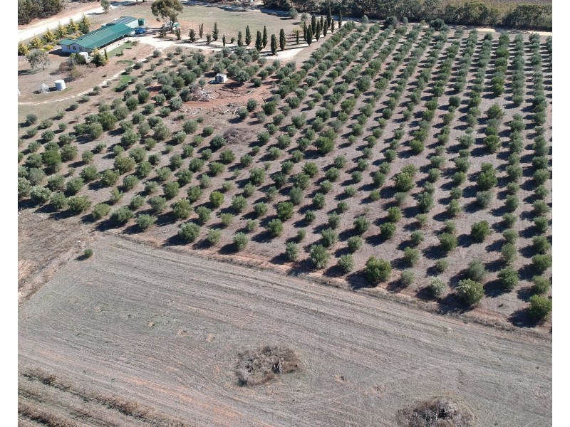 51 Ashby Road, Armagh SA 5453