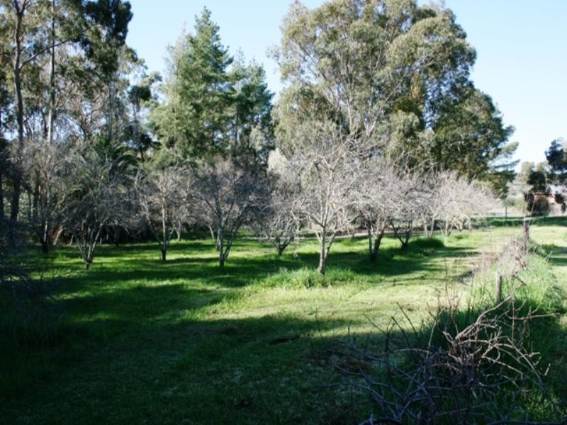 Lot 591 Old Blyth Road, Armagh SA 5453