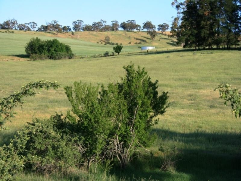 Lot 591 Old Blyth Road, Armagh SA 5453