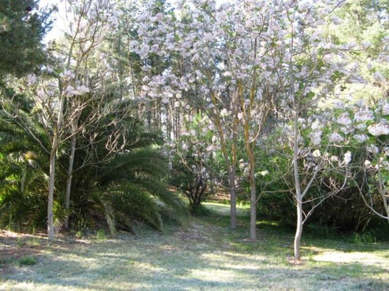 Lot 591 Old Blyth Road, Armagh SA 5453