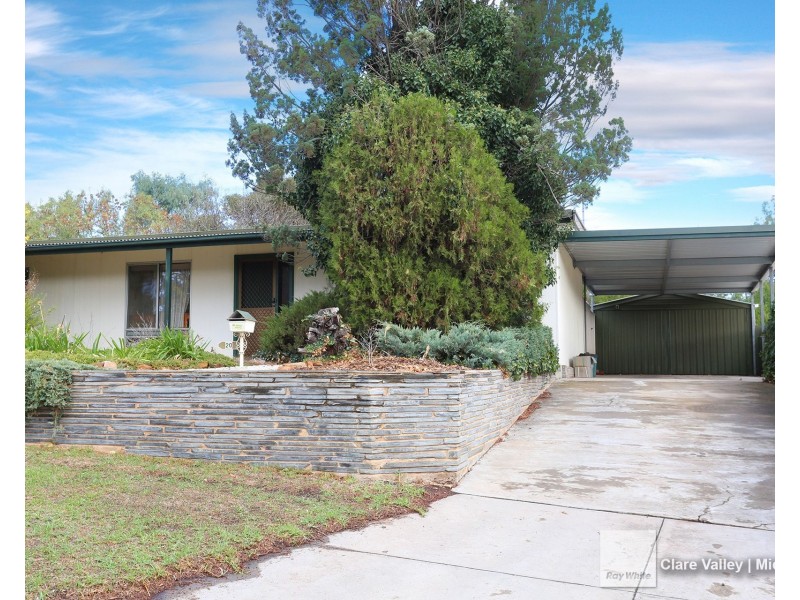 20 Geddes Avenue, Clare SA 5453