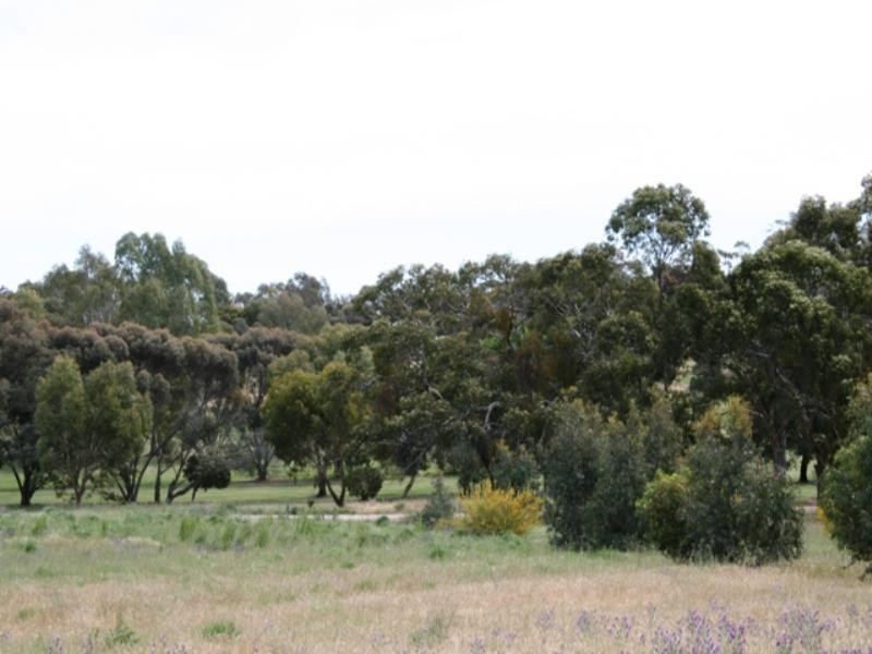 Lot 500 Square Mile Road, Clare SA 5453