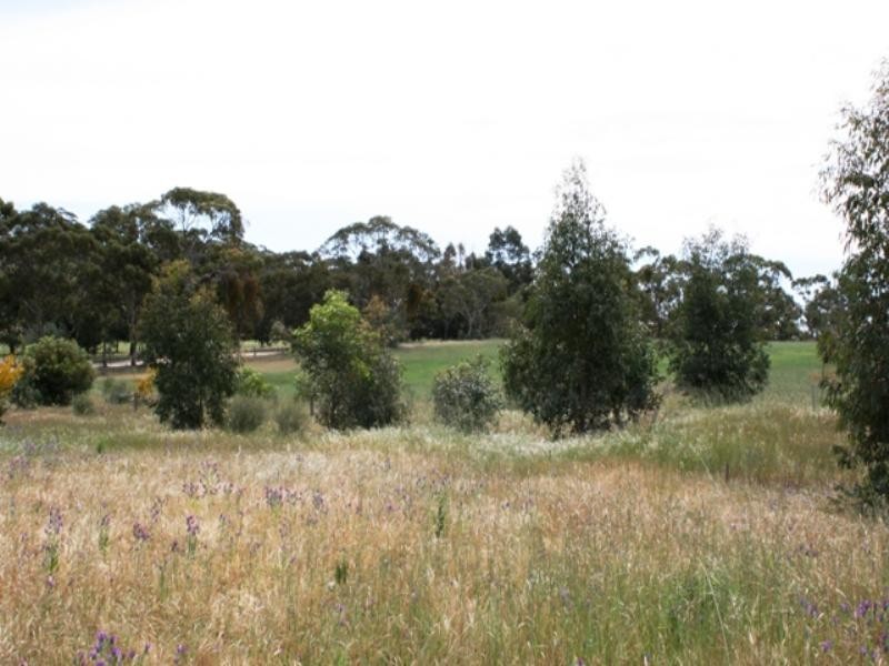 Lot 500 Square Mile Road, Clare SA 5453