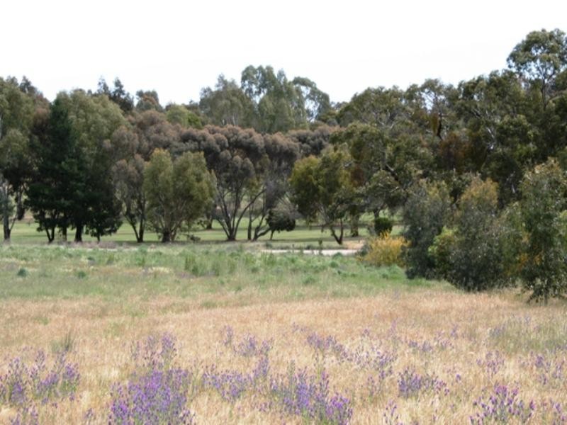 Lot 500 Square Mile Road, Clare SA 5453