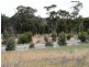 Lot 500 Square Mile Road, Clare SA 5453