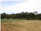 Lot 500 Square Mile Road, Clare SA 5453