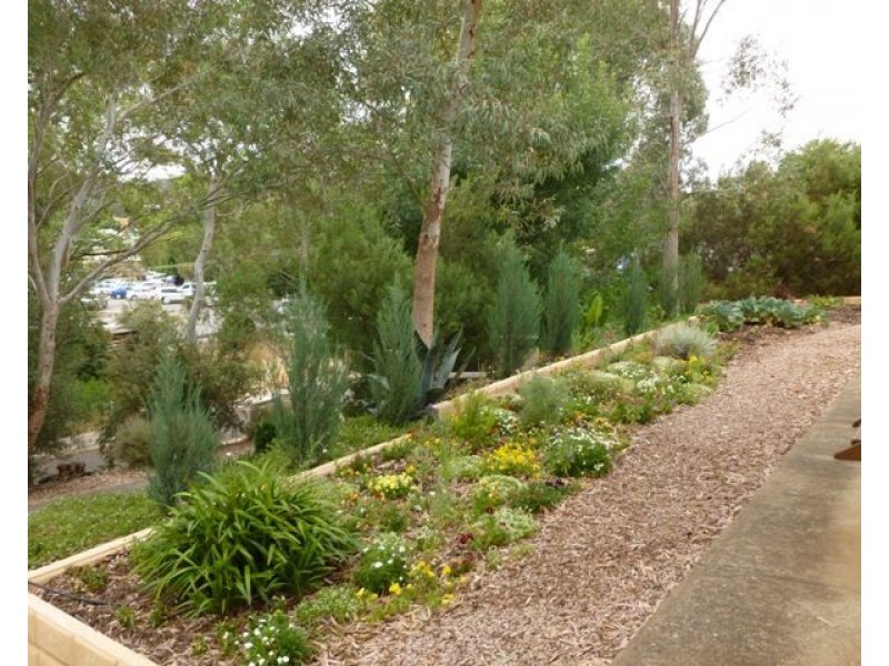 26 Strickland Street, Clare SA 5453