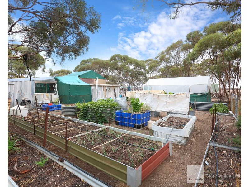 Lot 168 Eagle Road, Bower SA 5374