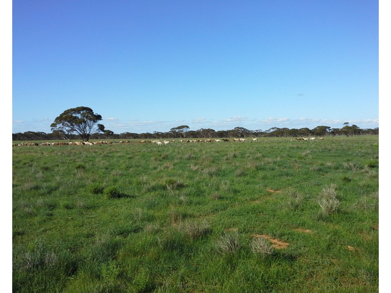 Lot 168 Eagle Road, Bower SA 5374