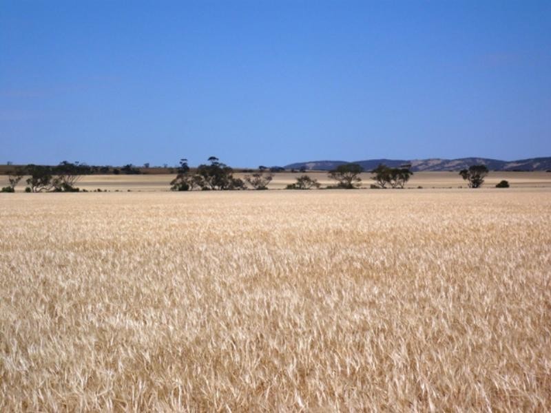 Sec 269 Isaacsons Pit Road Bumbunga via, Lochiel SA 5510