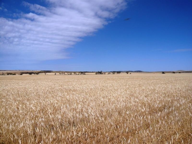 Sec 269 Isaacsons Pit Road Bumbunga via, Lochiel SA 5510