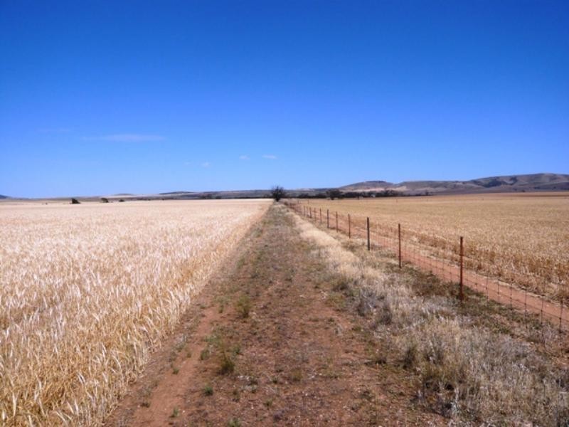 Sec 269 Isaacsons Pit Road Bumbunga via, Lochiel SA 5510