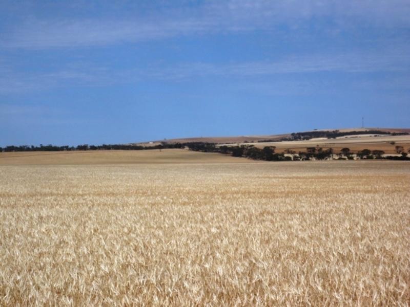 Sec 269 Isaacsons Pit Road Bumbunga via, Lochiel SA 5510