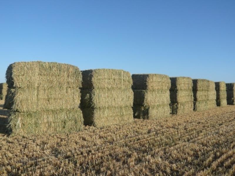 Sec 746 Gum Creek, Hanson SA 5417