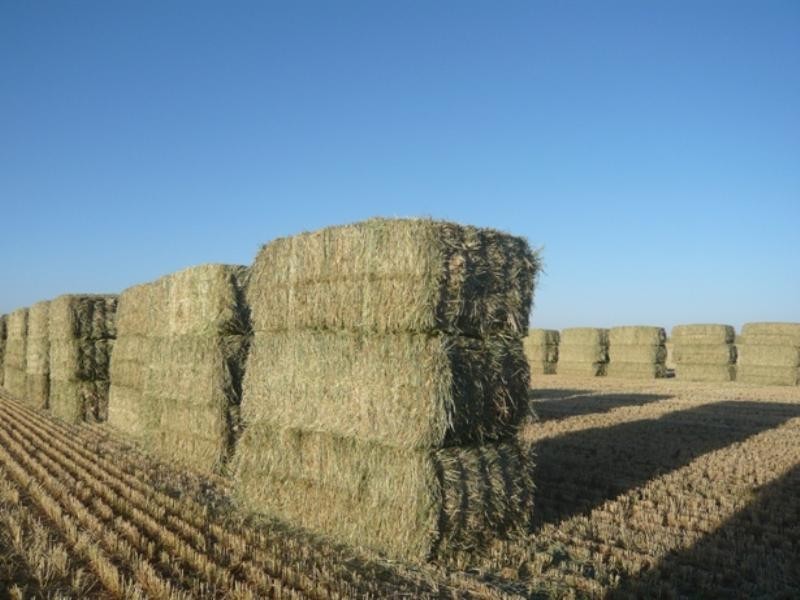 Sec 746 Gum Creek, Hanson SA 5417