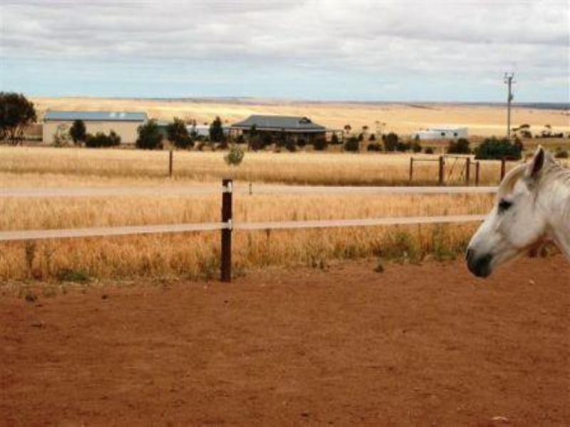 Lot 3 Hauschild Road, Cleve SA 5640