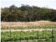 Lot 22 Morrison Road, Penwortham SA 5453
