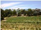 Lot 22 Morrison Road, Penwortham SA 5453