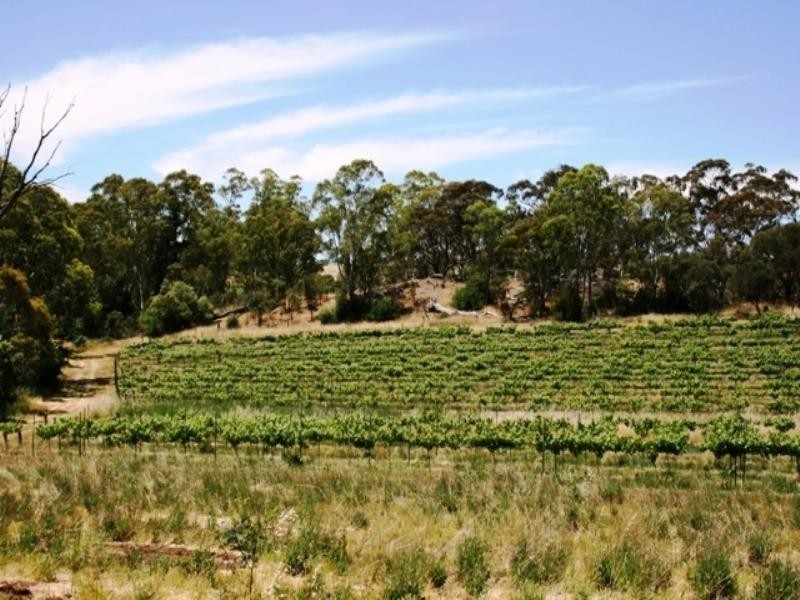 Lot 22 Morrison Road, Penwortham SA 5453