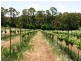 Lot 22 Morrison Road, Penwortham SA 5453