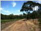 Lot 22 Morrison Road, Penwortham SA 5453