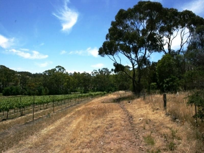 Lot 22 Morrison Road, Penwortham SA 5453