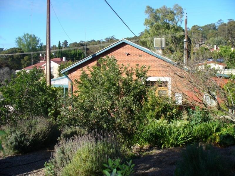 11 Harriet Street, Clare SA 5453