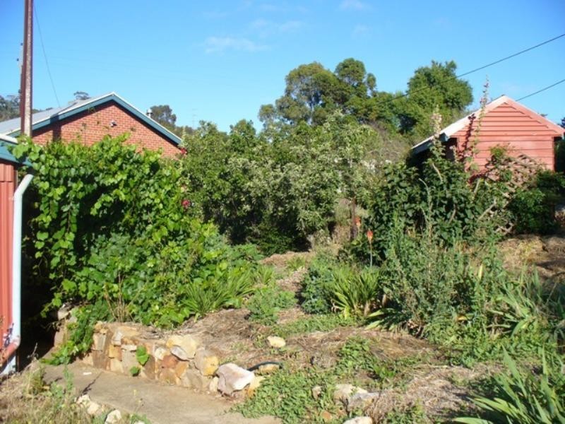 11 Harriet Street, Clare SA 5453