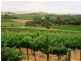 Lot 20 Main North Road, Leasingham SA 5452