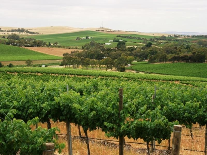 Lot 20 Main North Road, Leasingham SA 5452
