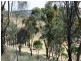 Lot 56 Benny’s Hill Road, Clare SA 5453