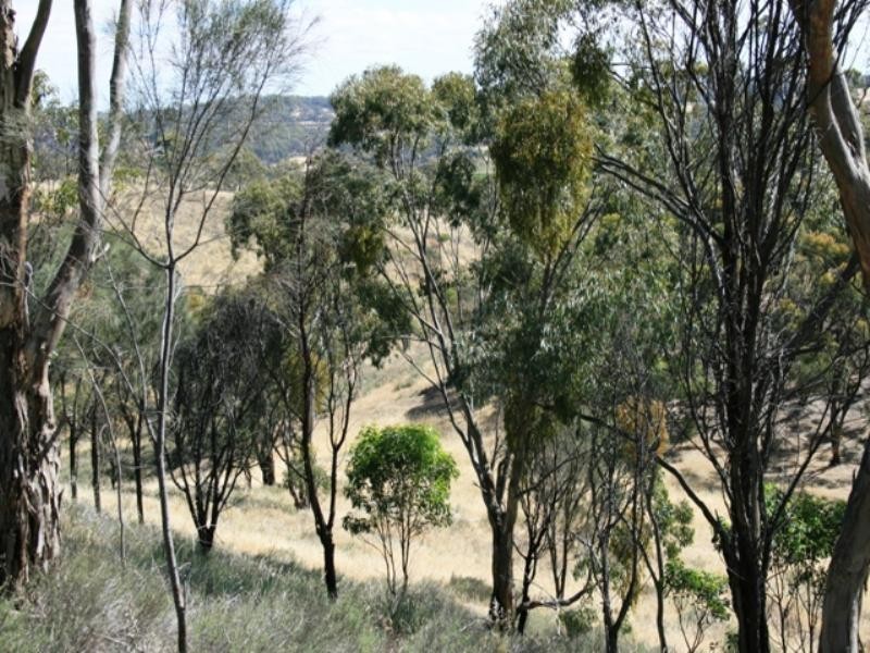 Lot 56 Benny’s Hill Road, Clare SA 5453