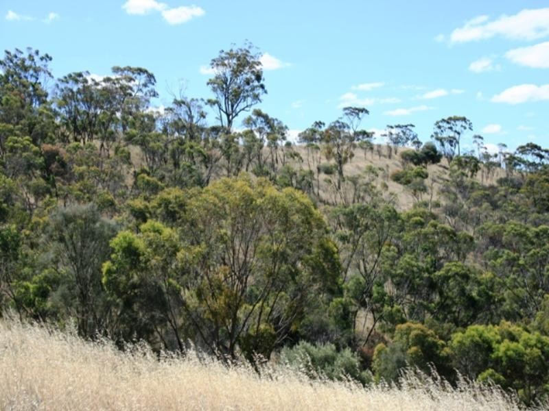 Lot 56 Benny’s Hill Road, Clare SA 5453