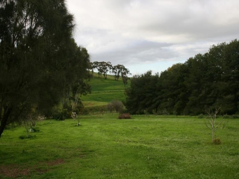 Lot 590 Old Blyth Road, Clare SA 5453