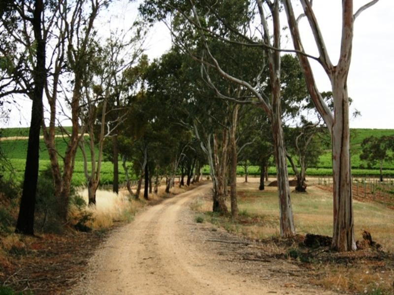 Lot 701 Mintaro Road, Leasingham SA 5452