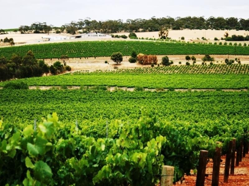 Sec 797 Government Road, Leasingham SA 5452