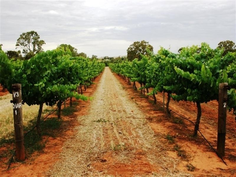 Sec 797 Government Road, Leasingham SA 5452