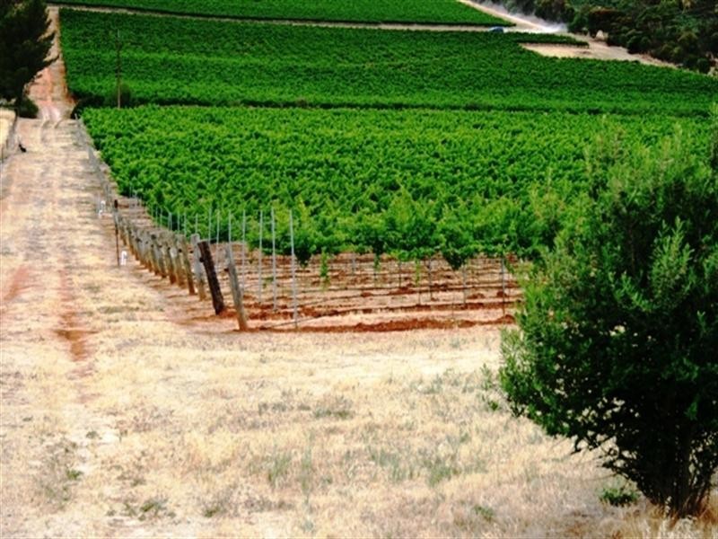 Sec 797 Government Road, Leasingham SA 5452