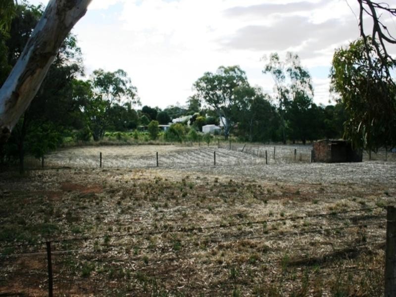 Lot 98 Elder Street, Auburn SA 5451